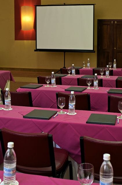 Conference Organization